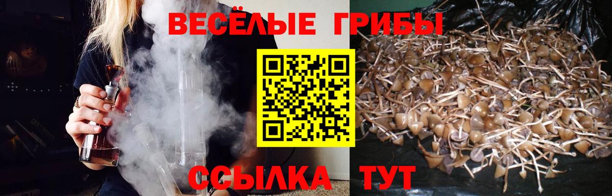 закладка  Псилоцибиновые грибы Magic Shrooms  Галлюциногенные грибы GOLDEN TEACHER  Вход с VPN  Тельмана 