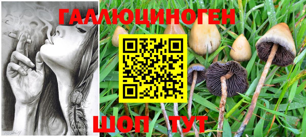 Псилоцибиновые грибы Psilocybine cubensis Тельмана